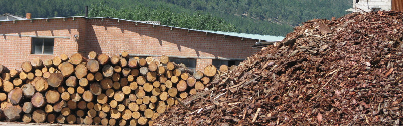 Biomasa - definicja i wartość opałowa